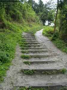 Steps up to Boxhill